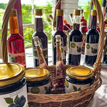 Agroturizem Devin Farm stay *