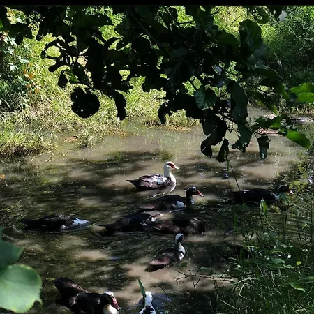 Agroturizem Devin